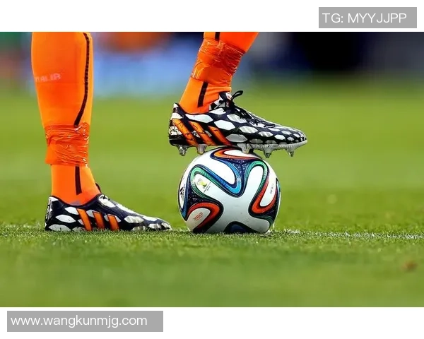 全面解析adidas分类足球的种类与特点助你选择最适合的足球装备