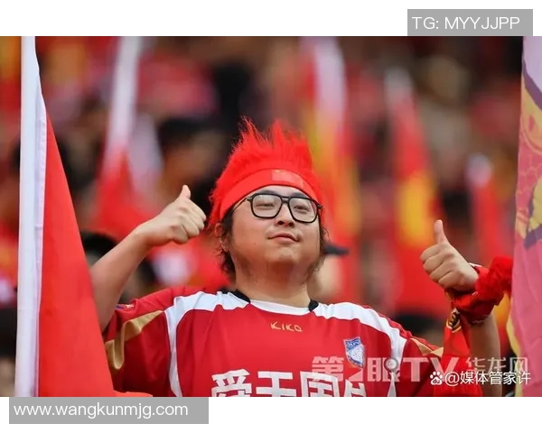 天下足球的十大球迷故事与激情瞬间揭秘球迷文化的魅力与热爱