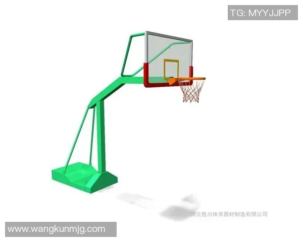 小学生篮球架价格分析及选购指南助你找到最合适的产品